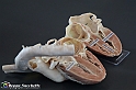 VBS_2842 - Cuore - Mostra Body Worlds